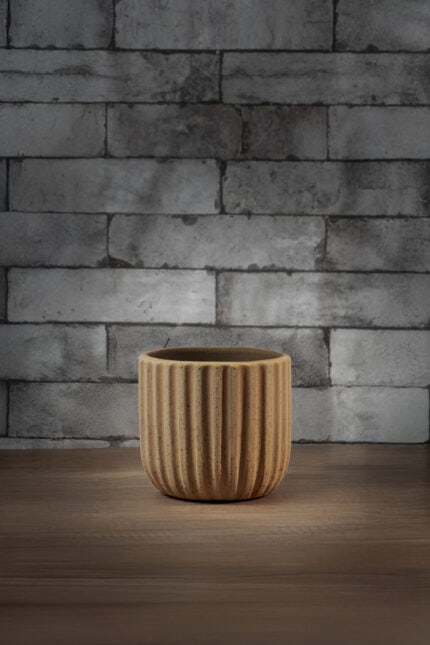 AquaPlant e shop5631 copy