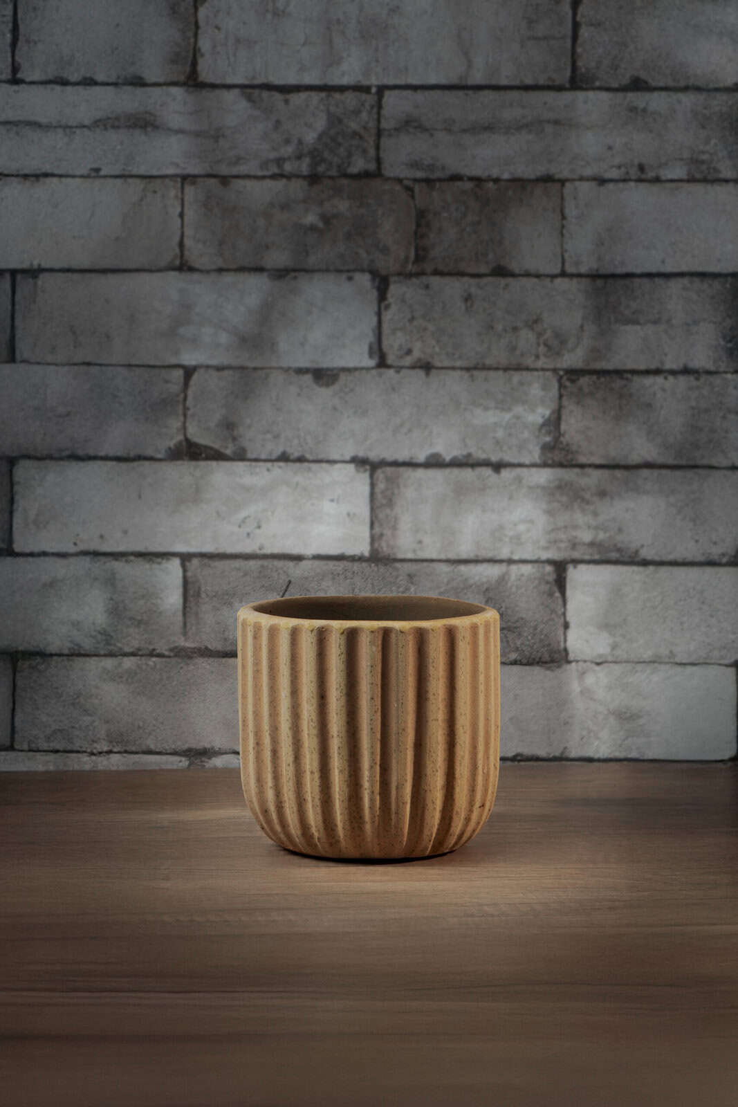 AquaPlant e shop5631 copy