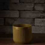 Golden Striped pot