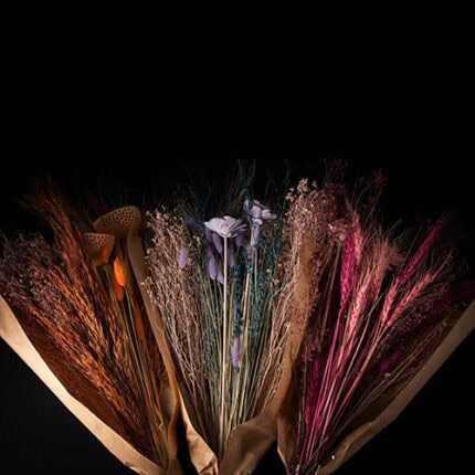 Dried-Elegance-Collection