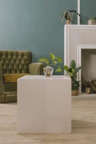 AQUA PLANT STILL LIFE 20252973-1 copy