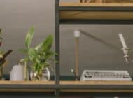 AQUA PLANT STILL LIFE 20253042-1 copy